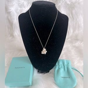 💯Authentic Tiffany&Co. Bear Pendant Chain Necklace